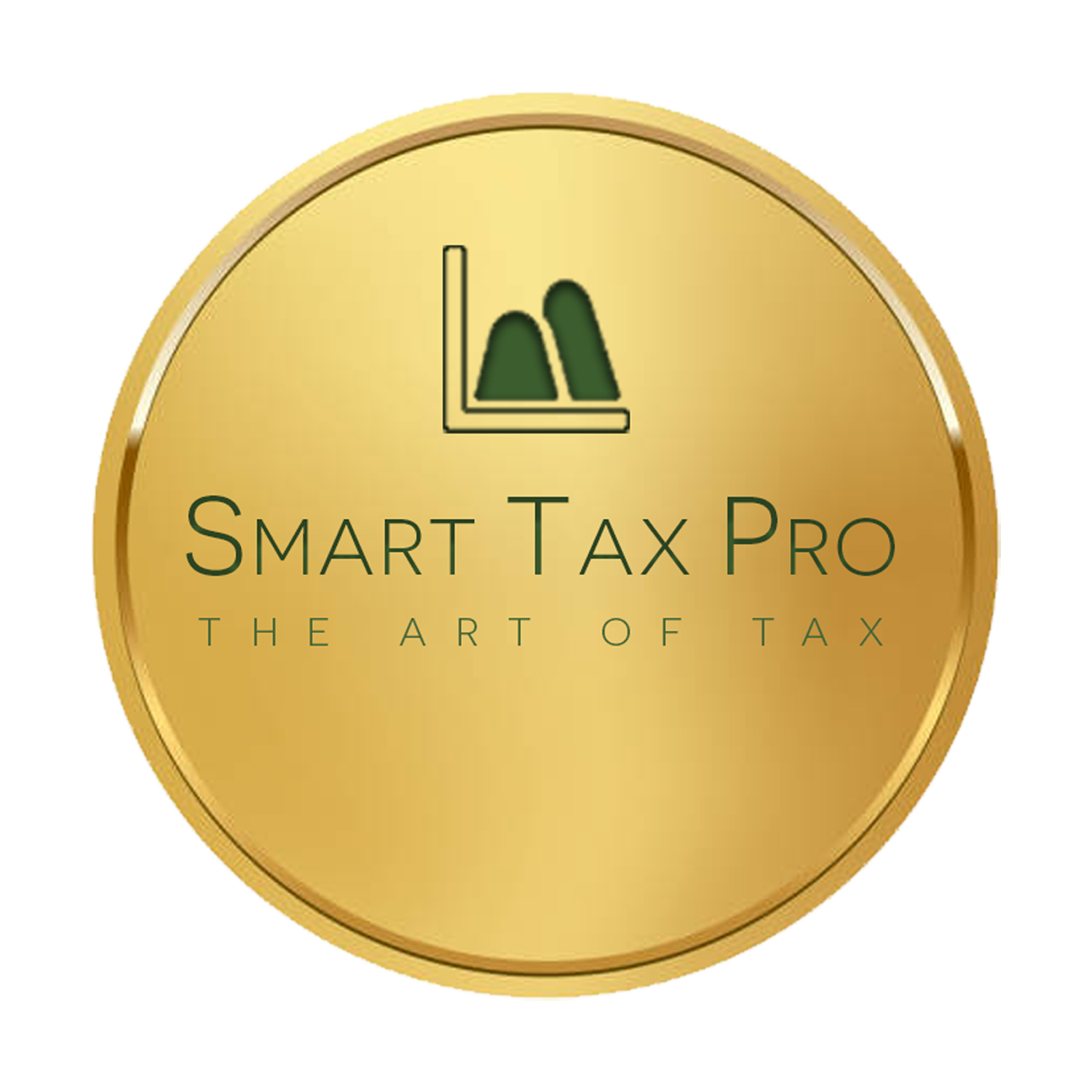 Smart Tax Pro